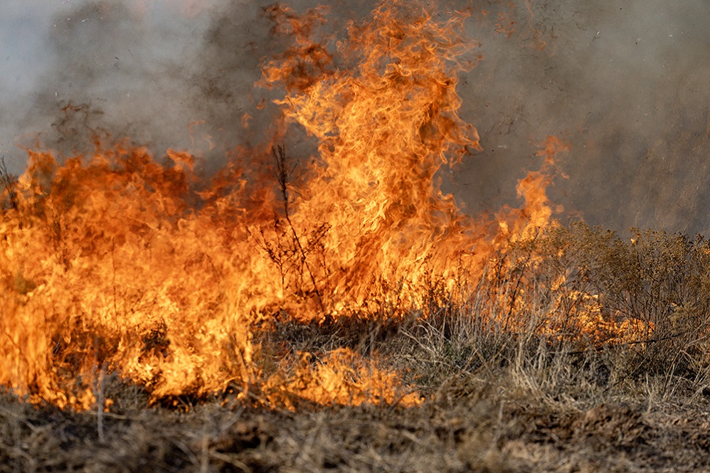 Texas wildfire