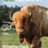 Commissioner Miller Proudly Announces the Release of the 2026 GO TEXAN Magazine