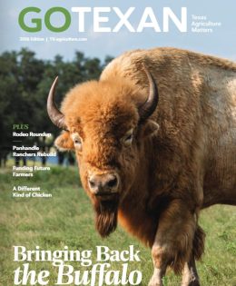 Commissioner Miller Proudly Announces the Release of the 2026 GO TEXAN Magazine