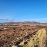 Did You Receive Frost Damage Last Night?