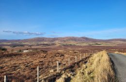 Did You Receive Frost Damage Last Night?