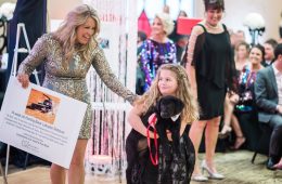 The Engine Behind the Gala: Volunteers