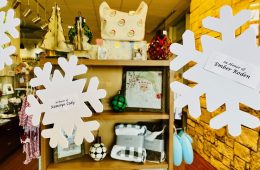 How the Health Care Foundation’s Snowflake Campaign Works