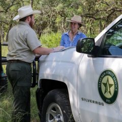 Texas Landowners Can Receive Up to $80,000 to Reforest Their Property
