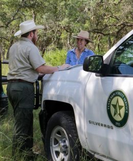Texas Landowners Can Receive Up to $80,000 to Reforest Their Property