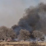 Dry Conditions and Increased Vegetation set Stage for Higher Wildfire Risk in Texas