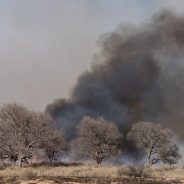 Dry Conditions and Increased Vegetation set Stage for Higher Wildfire Risk in Texas
