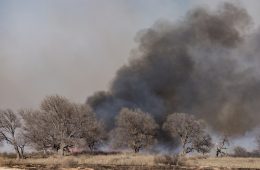 Dry Conditions and Increased Vegetation set Stage for Higher Wildfire Risk in Texas