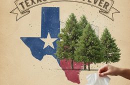 ‘Cedar Fever’ Time Once Gain