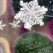 KSST Listener Discovers Unique Snowflake