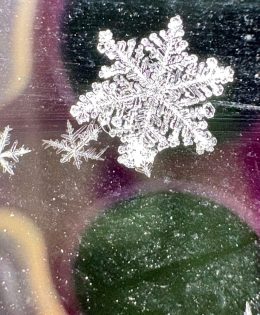 KSST Listener Discovers Unique Snowflake