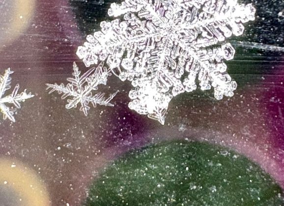 KSST Listener Discovers Unique Snowflake