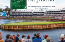 Rare PLAYERS Championship Golf Package Available Now for a Limited Time