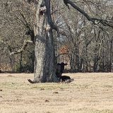 Texas Officials Launch Push for National Agriculture Freedom Zones