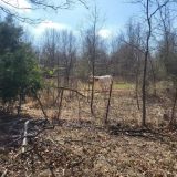 Funding Available for Grassland Restoration in High Plains, Rolling Plains of Texas