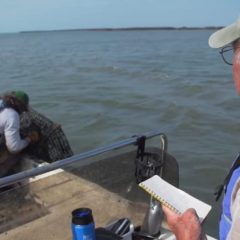 2026 Abandoned Crab Trap Removal Program Removes 973 Derelict Traps from Texas’ Bays