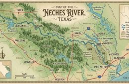 Paxton Sues Water Treatment Plant For Dumping Sewage into Cedar Creek