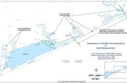 Oyster Harvest Areas Open in Matagorda Bay