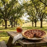 Texas Agriculture Commissioner Highlights Pecan Industry During National Pecan Month
