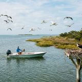 TPWD Encourages Texas Anglers and Boaters to Stay Clear of Coastal Waterbird Rookeries