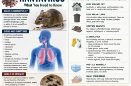 Concerns Rise Over Hantavirus After Cruise Ship Cases Involving Americans