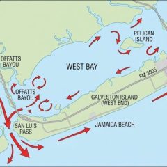 Official Media Statement: Missing Kayaker Recovered from West Bay, May 18