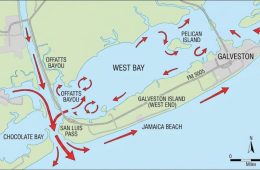 Official Media Statement: Missing Kayaker Recovered from West Bay, May 18