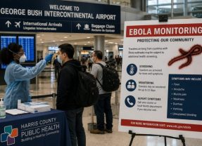 Will Ebola Hitch A Ride With FIFA Fans?