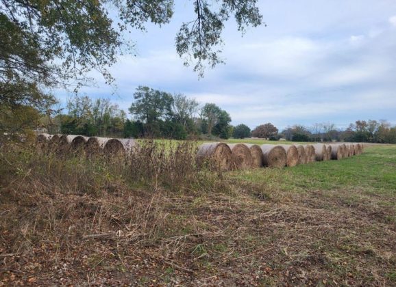 Farm Bankruptcy Rate Reaches New High