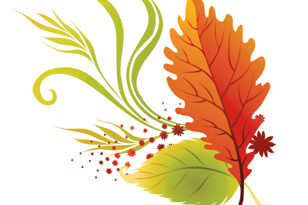 The Fall Fest Parade Rolled Through Sulphur Springs October 17th With Lots of Autumn Joy