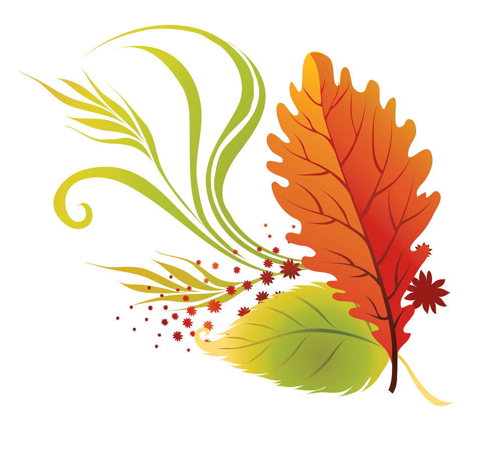 autumn or fall leaves